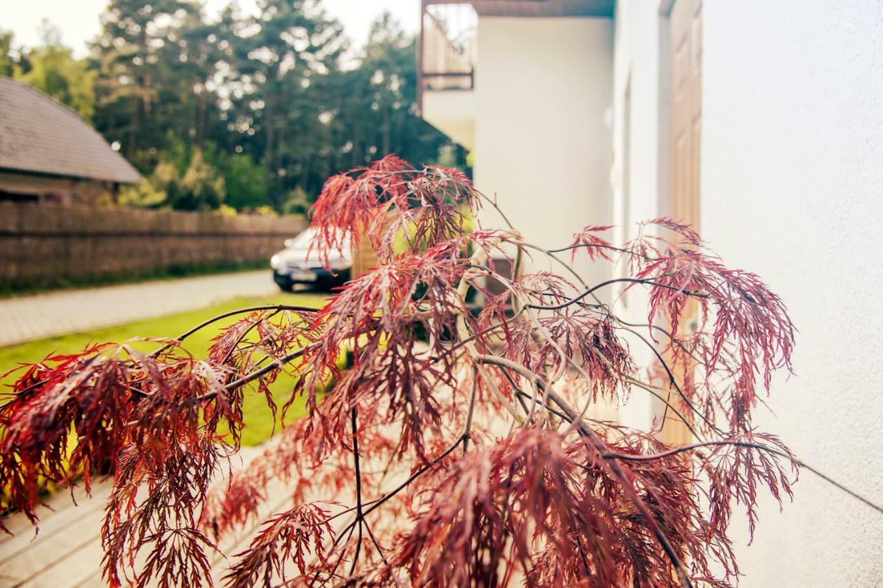 MiędzywodzieUrlop Przy Wydmach公寓 外观 照片
